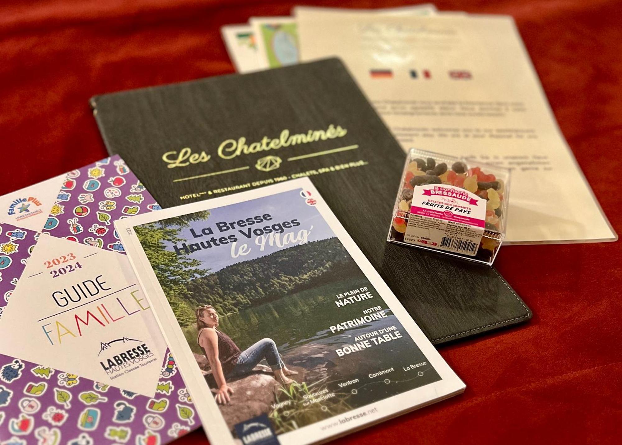 Logis Hotel, Chalets Et Restaurant Les Chatelmines لابْريسْ المظهر الخارجي الصورة